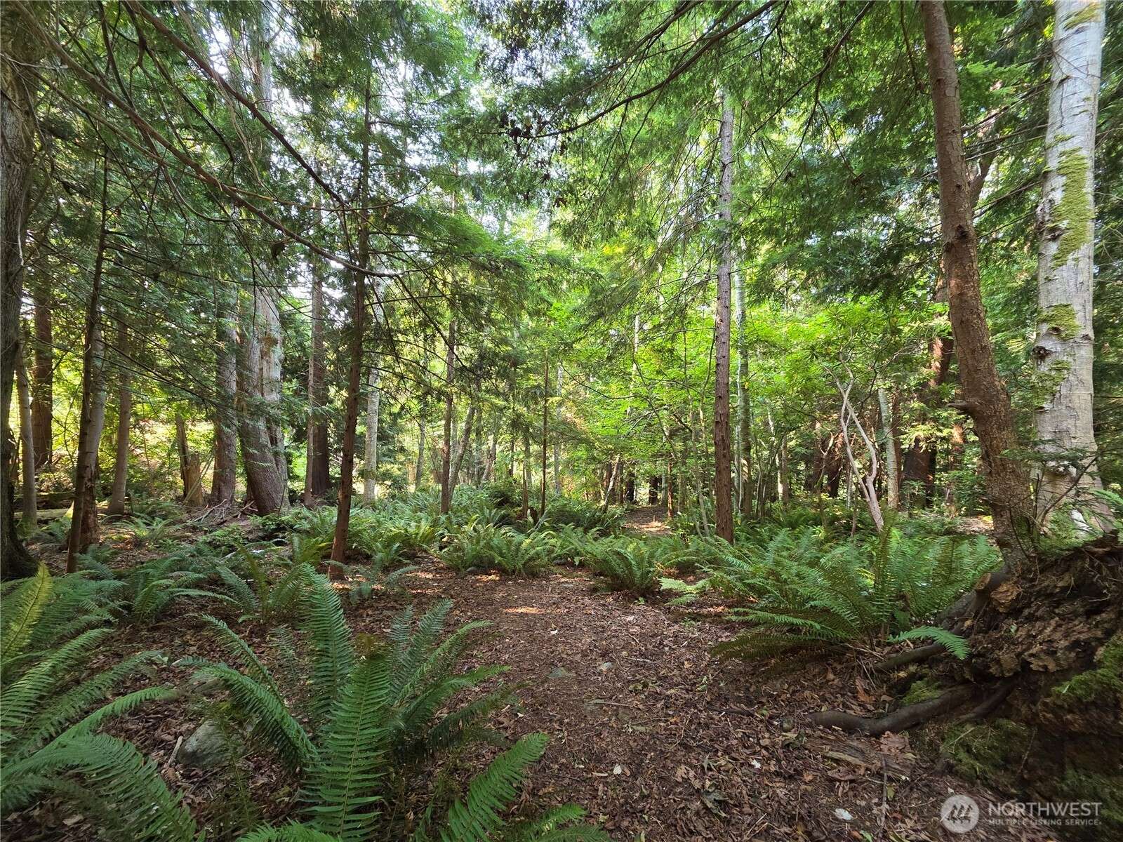 0 Cirque DR, Brinnon, WA 98320