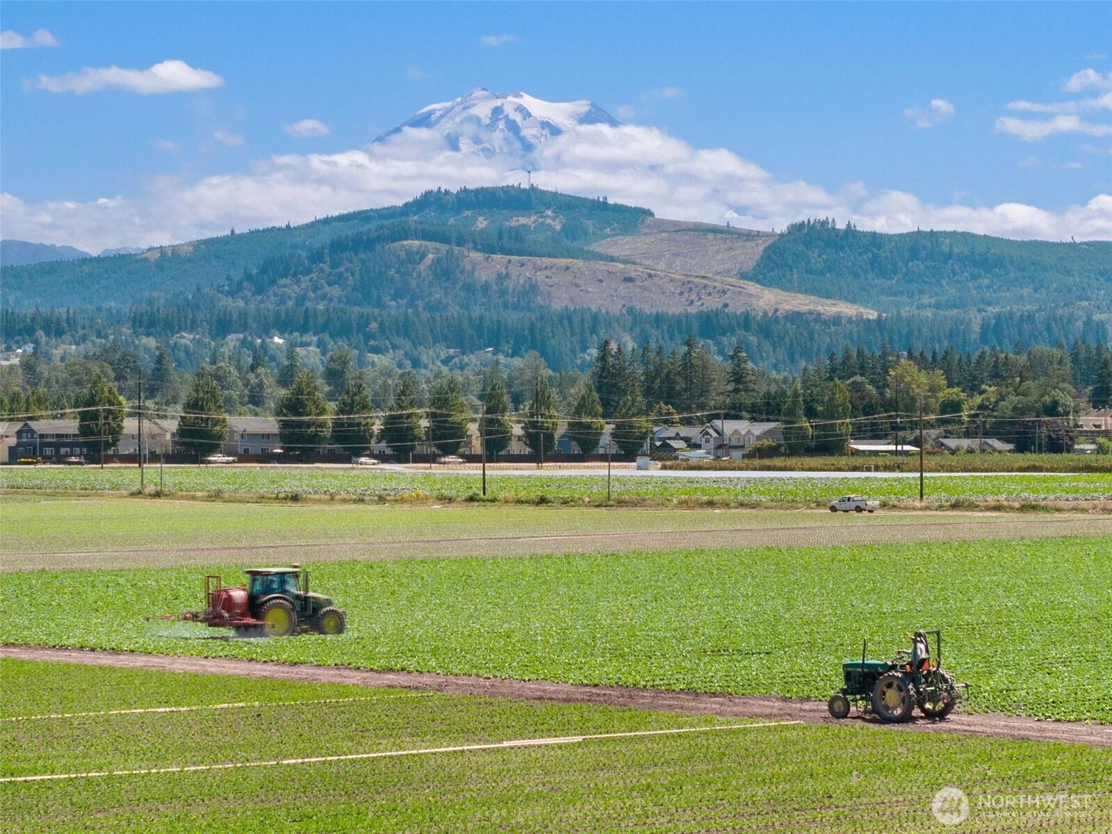 18213 & 18307 150th Avenue Ct E, Orting, WA 98360
