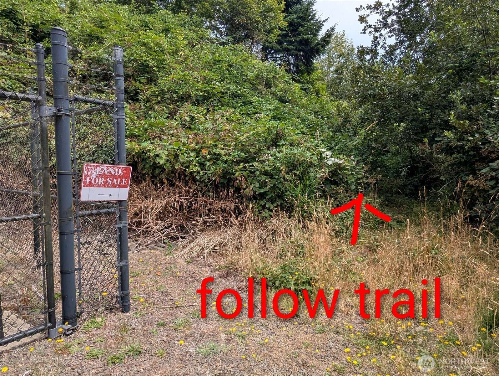 0 Lamontay Lot #6 PL, Ilwaco, WA 98624