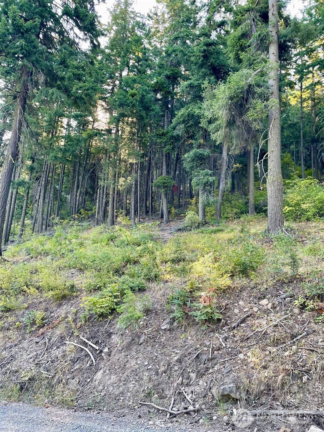 1290 Rodeo Road, Cle Elum, WA 98922