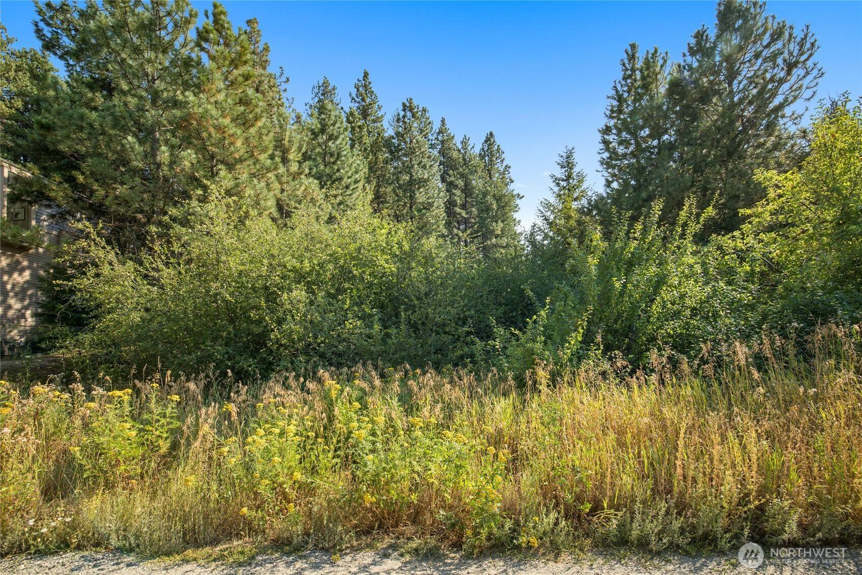 0 5th Street Alley, Roslyn, WA 98941
