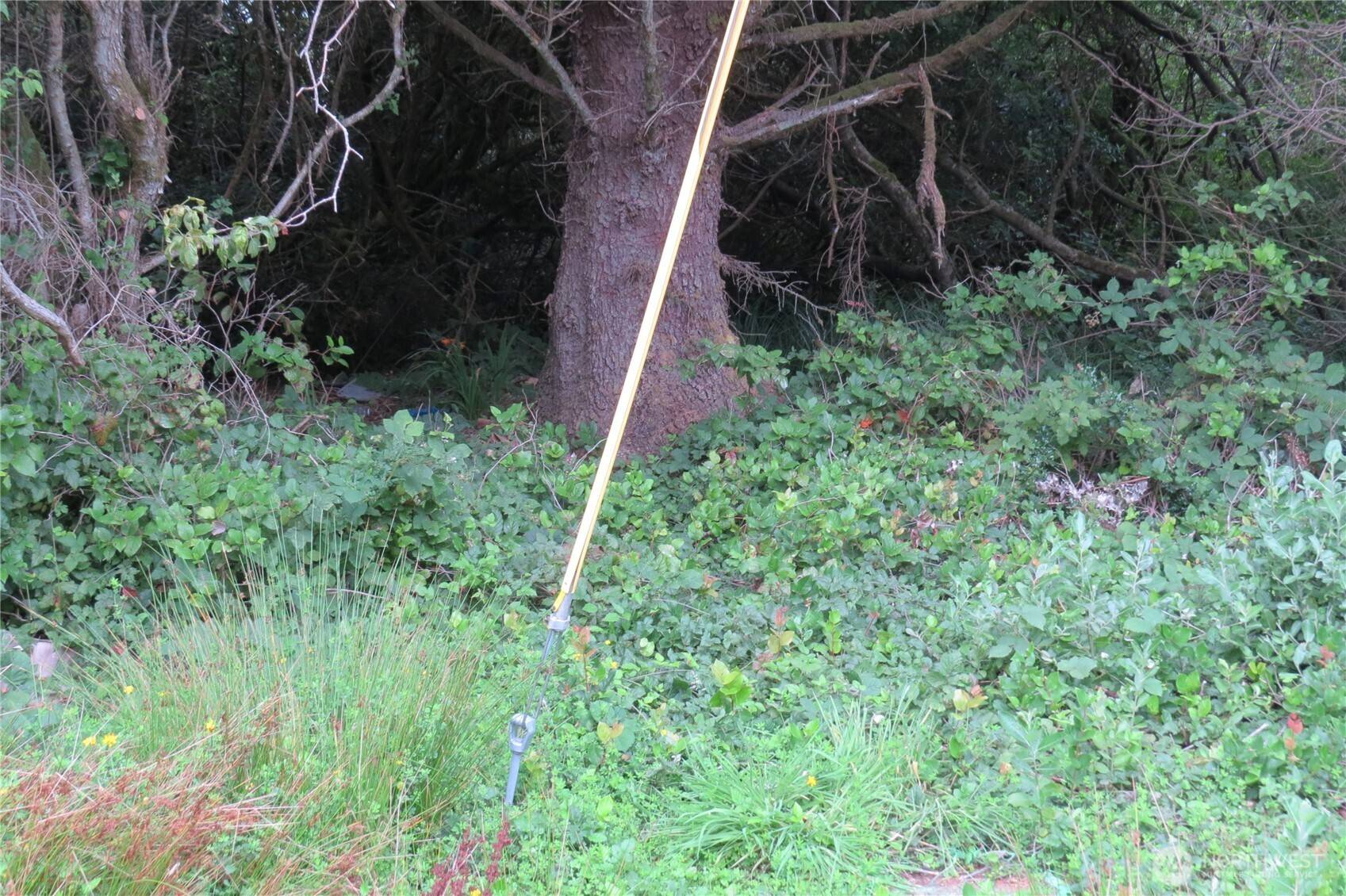 166 N Port Loop, Ocean Shores, WA 98569
