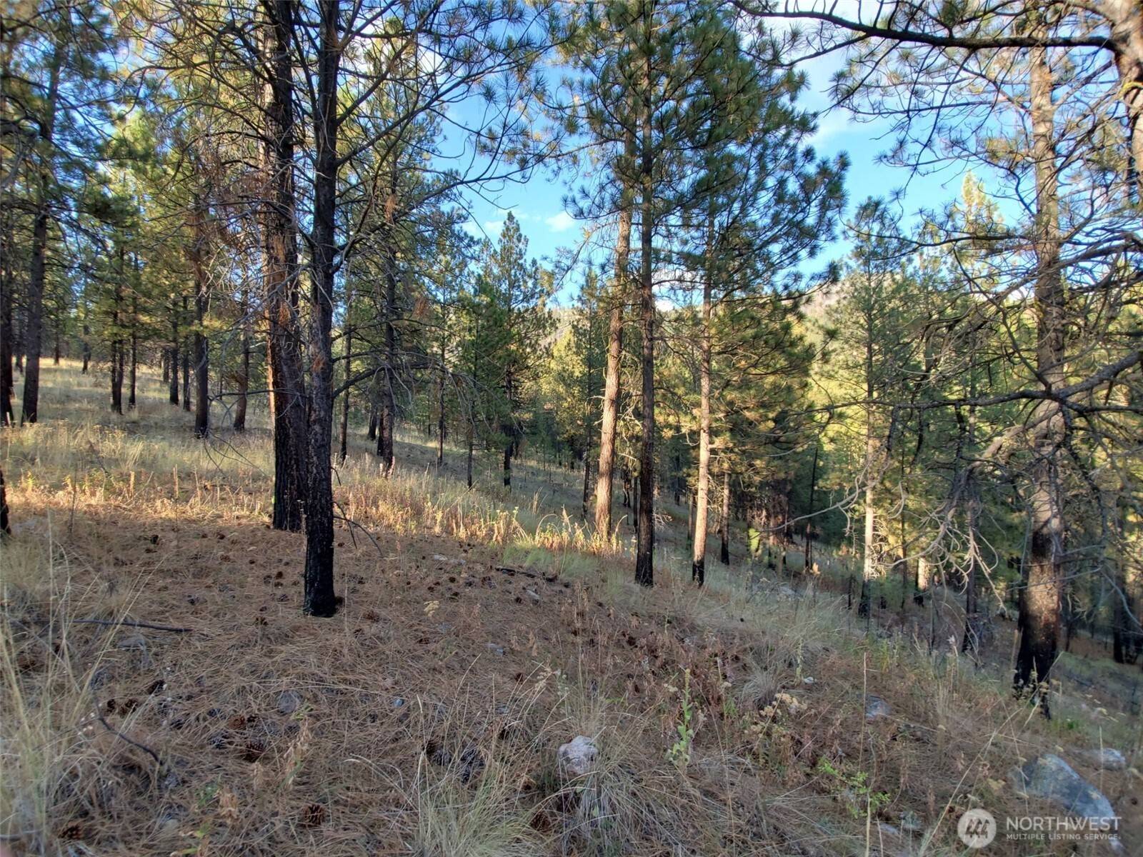 0 Long Horn Trail, Riverside, WA 98849