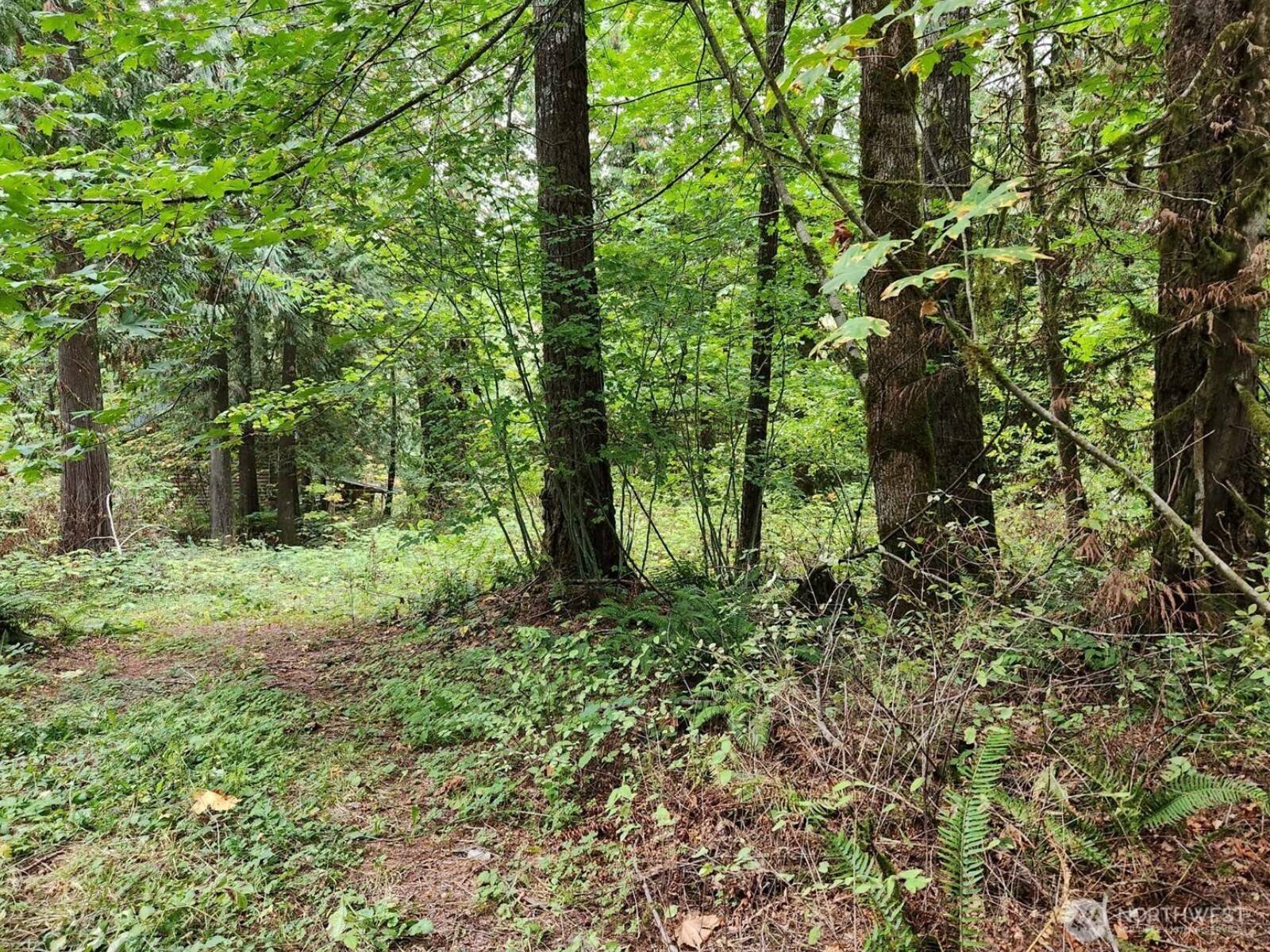 19504 River Place, Index, WA 98294