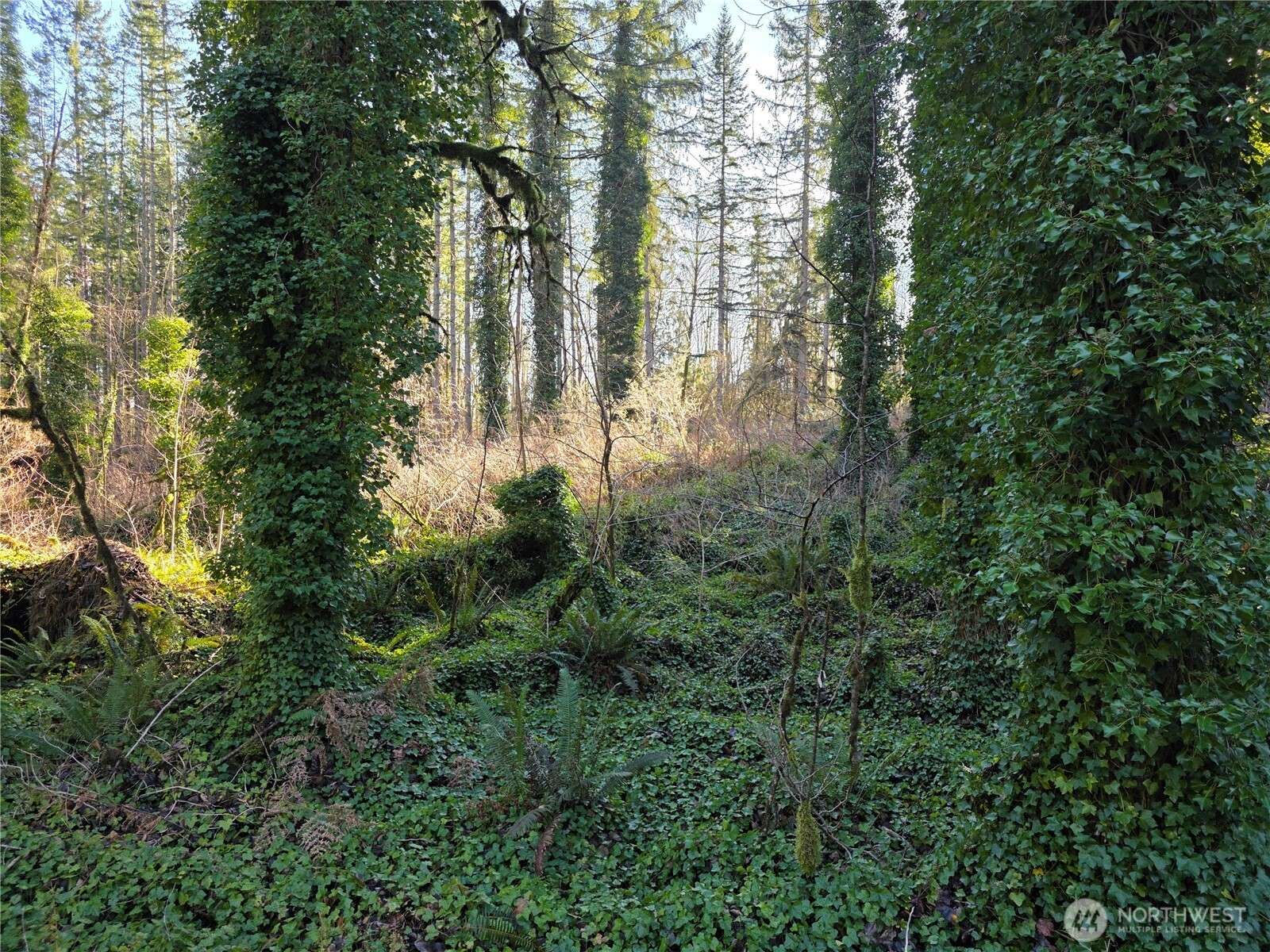 73 XX 226th AVE NE #4, Granite Falls, WA 98252