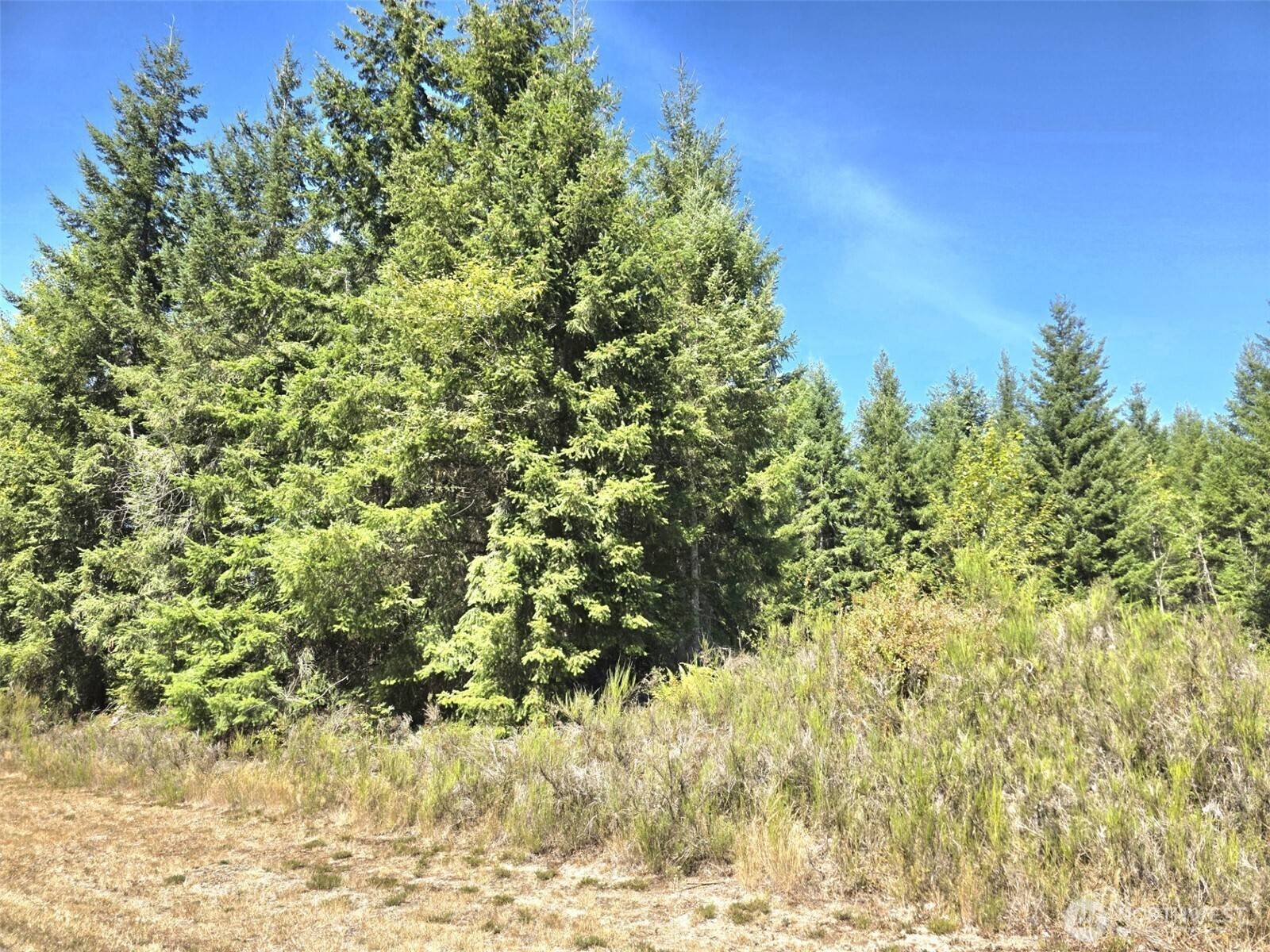 19710 146th AVE SE, Yelm, WA 98597