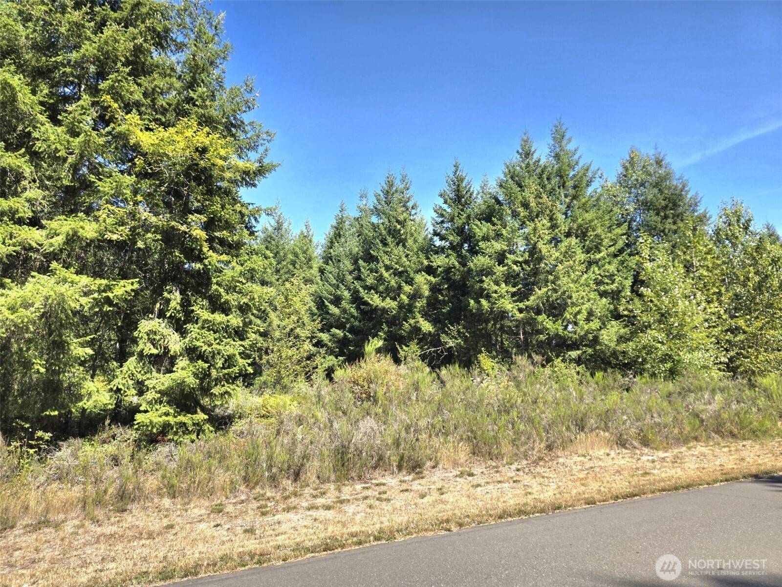 19710 146th AVE SE, Yelm, WA 98597