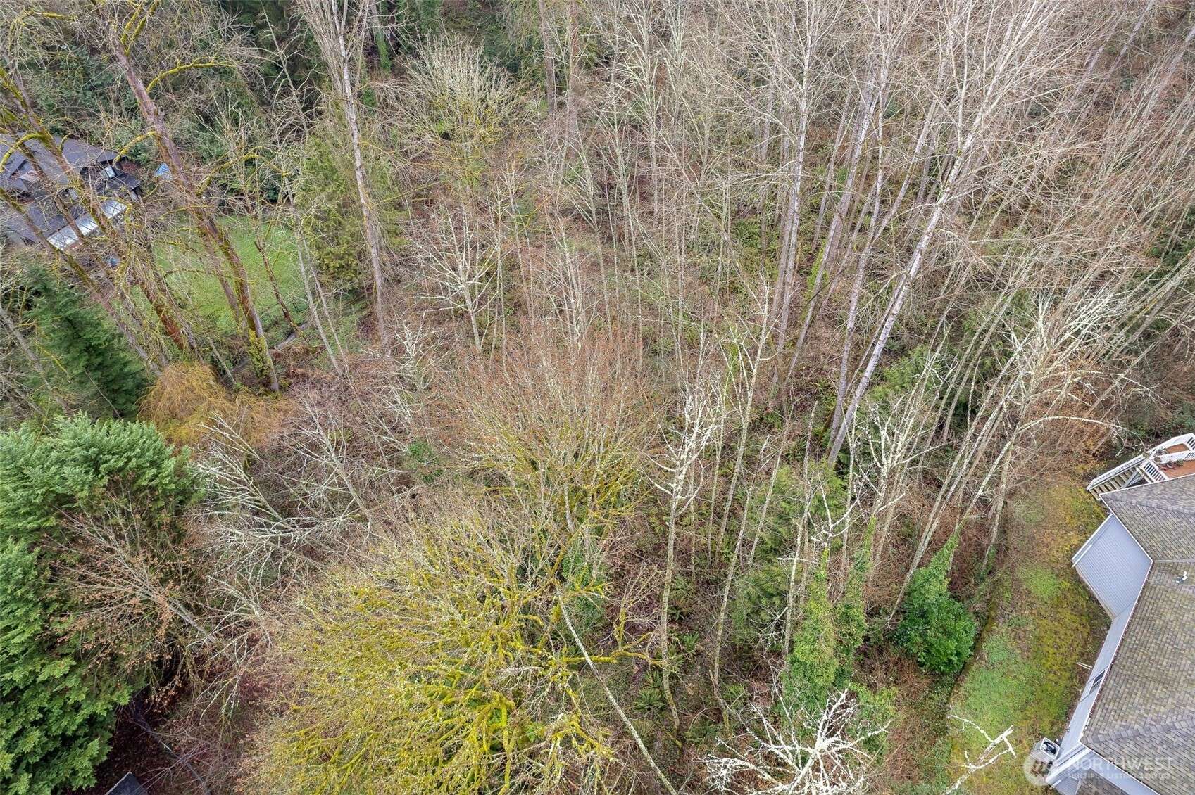 16 XXX 76th PL NE, Kenmore, WA 98028