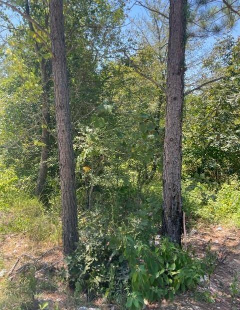 162 Top Notch LN, Broken Bow, OK 74728