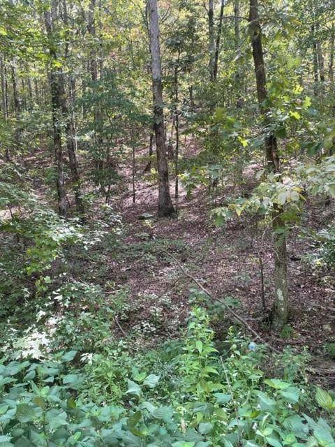 158 WESTERN MAPLE TRL, Broken Bow, OK 74728