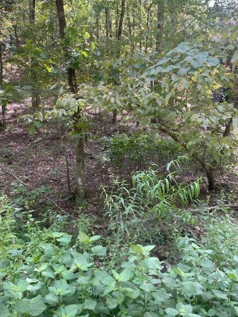 158 WESTERN MAPLE TRL, Broken Bow, OK 74728