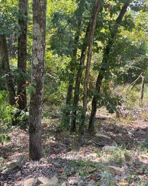132 Western CEDAR TRL, Broken Bow, OK 74728