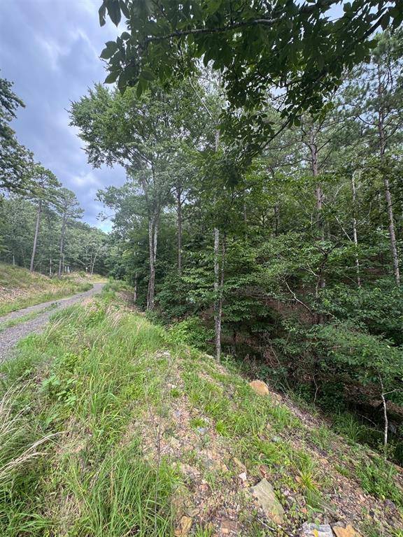 132 Western CEDAR TRL, Broken Bow, OK 74728
