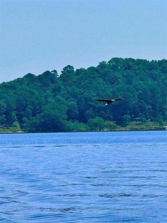 214 Top Notch LN, Broken Bow, OK 74728