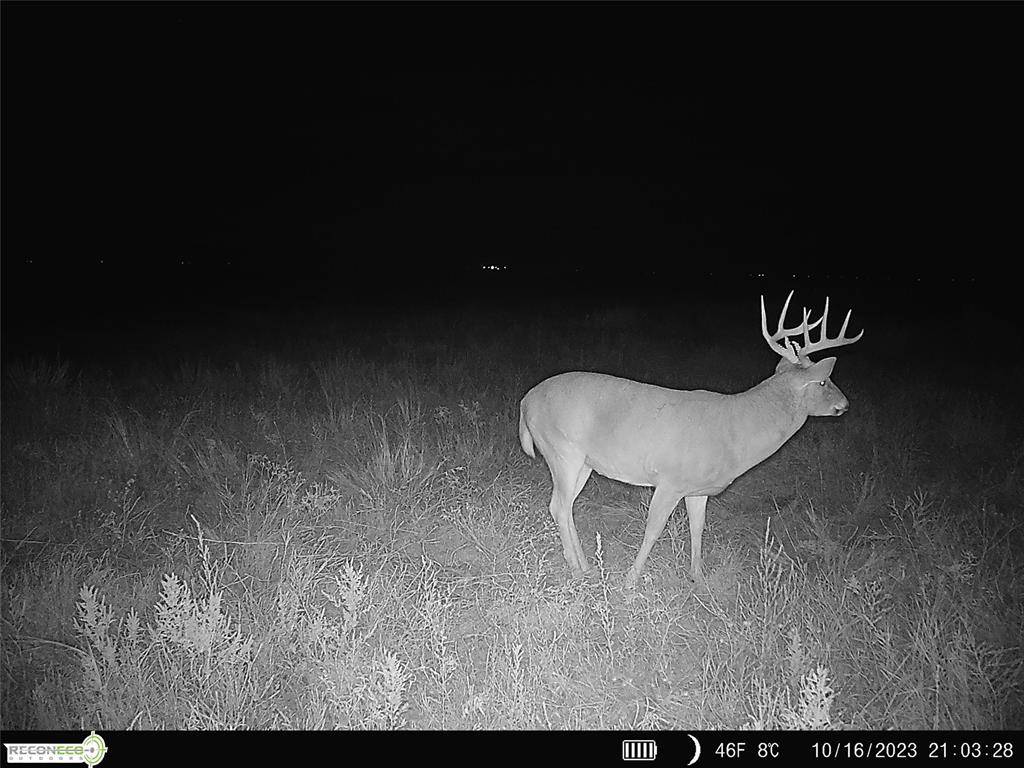 Mile 51 RD, Hooker, OK 73945