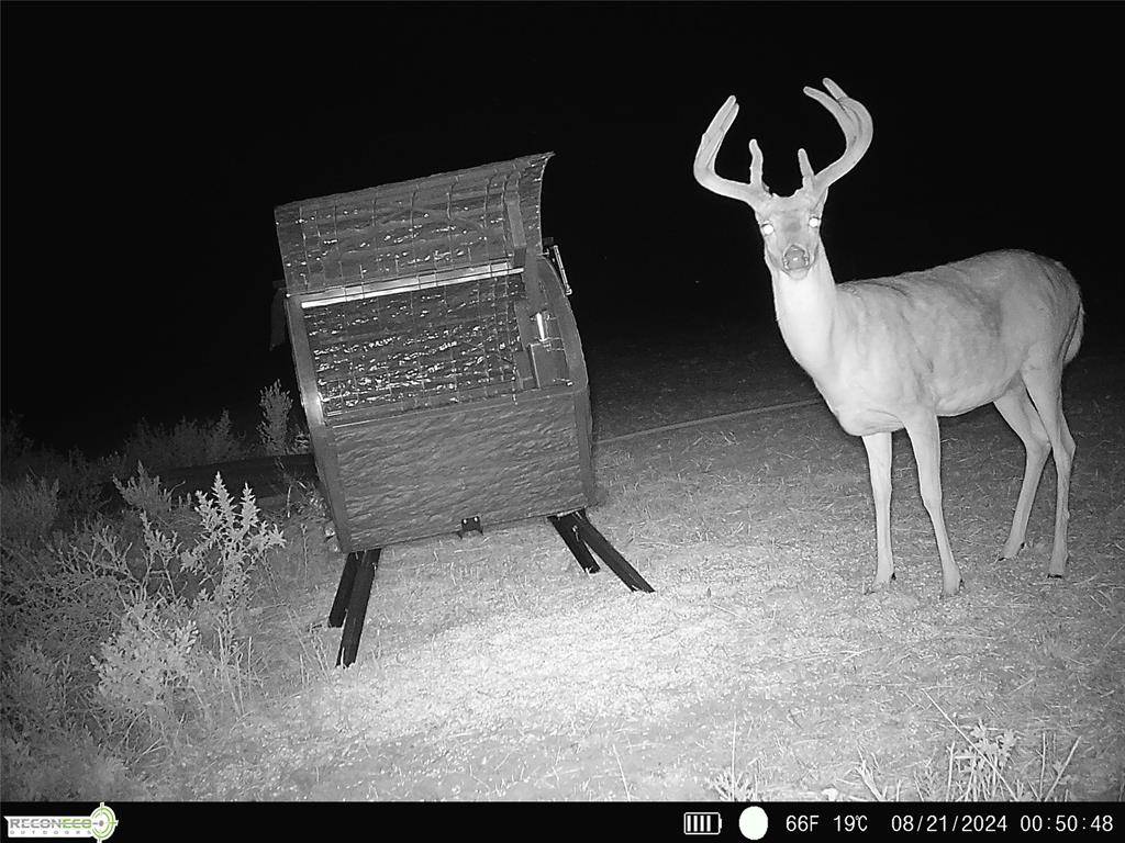Mile 51 RD, Hooker, OK 73945
