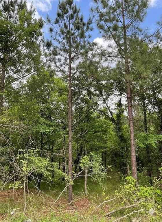 660 Timber Creek Trails South XI, Broken Bow, OK 74728