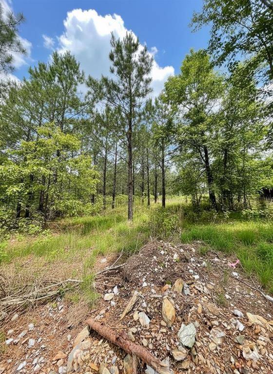 670 Timber Creek Trails South XI, Broken Bow, OK 74728