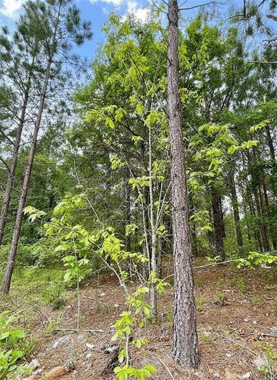 671 Timber Creek Trails South XI, Broken Bow, OK 74728