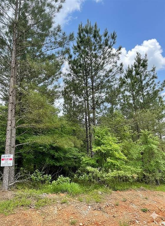 657 Timber Creek Trails South XI, Broken Bow, OK 74728