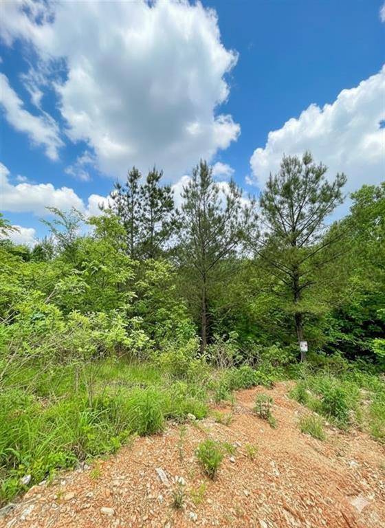 656 Timber Creek Trails South XI, Broken Bow, OK 74728