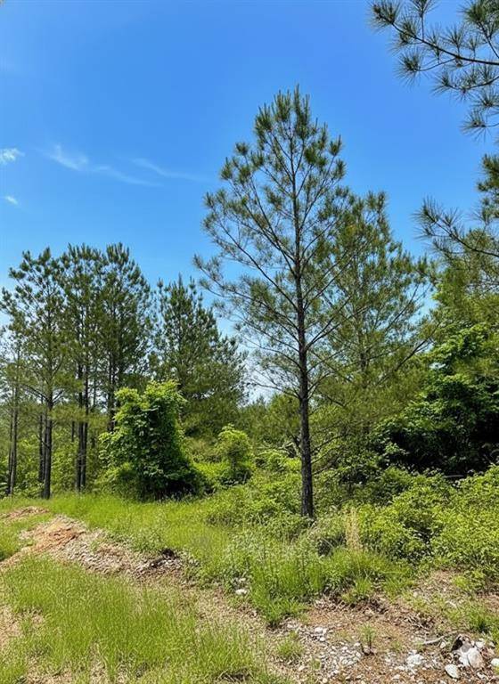 661 Timber Creek Trails South XI, Broken Bow, OK 74728