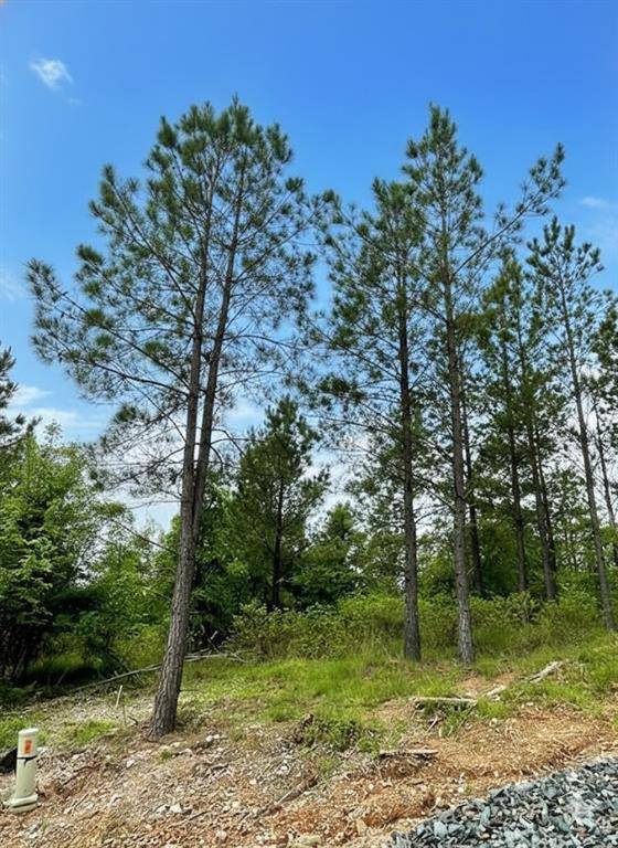 661 Timber Creek Trails South XI, Broken Bow, OK 74728