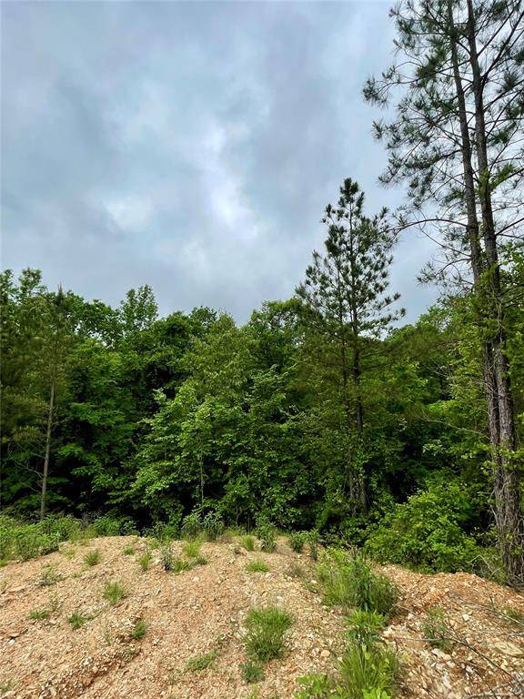 673 Timber Creek Trails South XI, Broken Bow, OK 74728