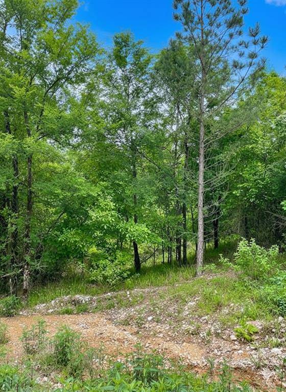 662 Timber Creek Trails South XI, Broken Bow, OK 74728