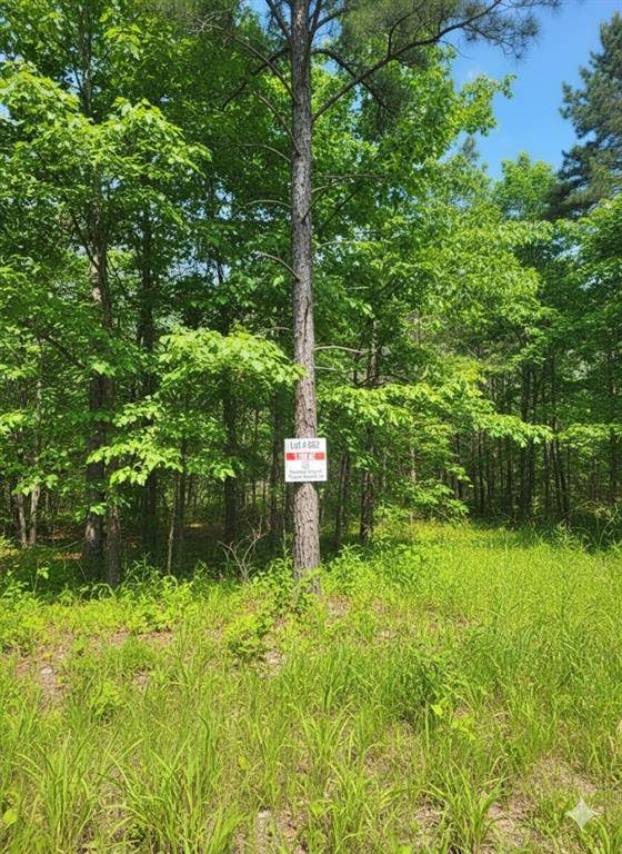 662 Timber Creek Trails South XI, Broken Bow, OK 74728