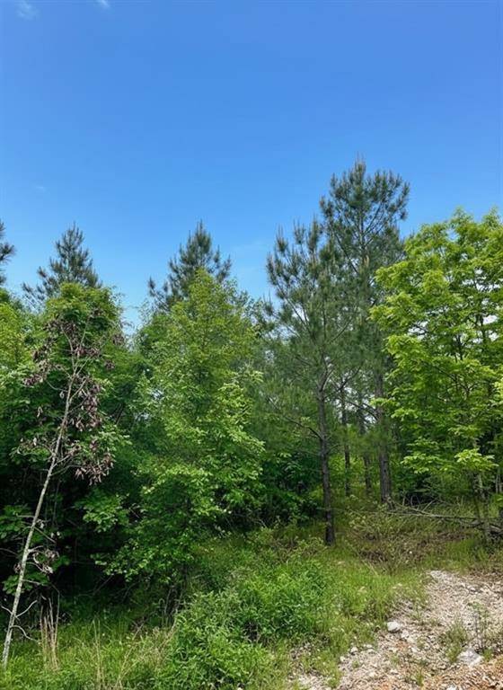 662 Timber Creek Trails South XI, Broken Bow, OK 74728