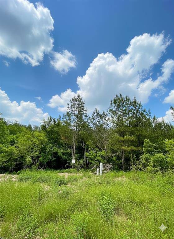 664 Timber Creek Trails South XI, Broken Bow, OK 74728