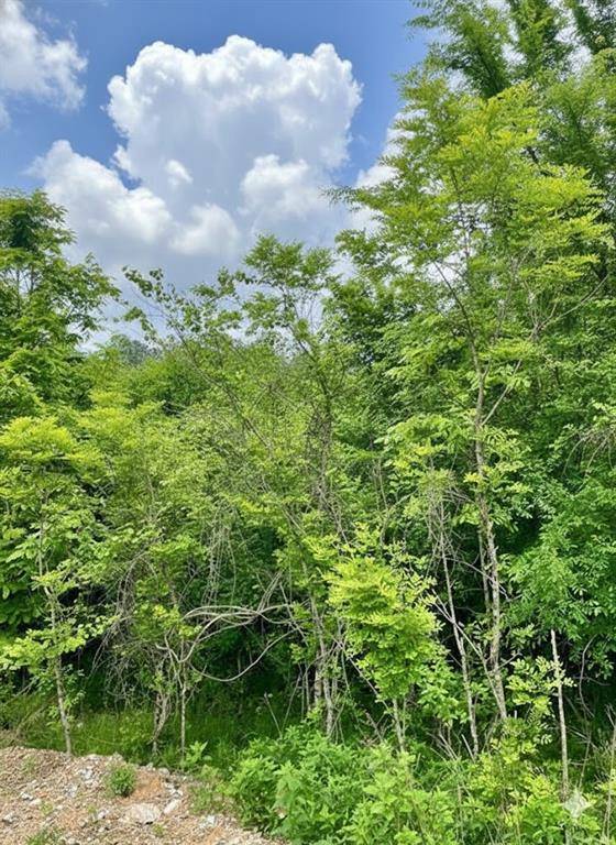 664 Timber Creek Trails South XI, Broken Bow, OK 74728