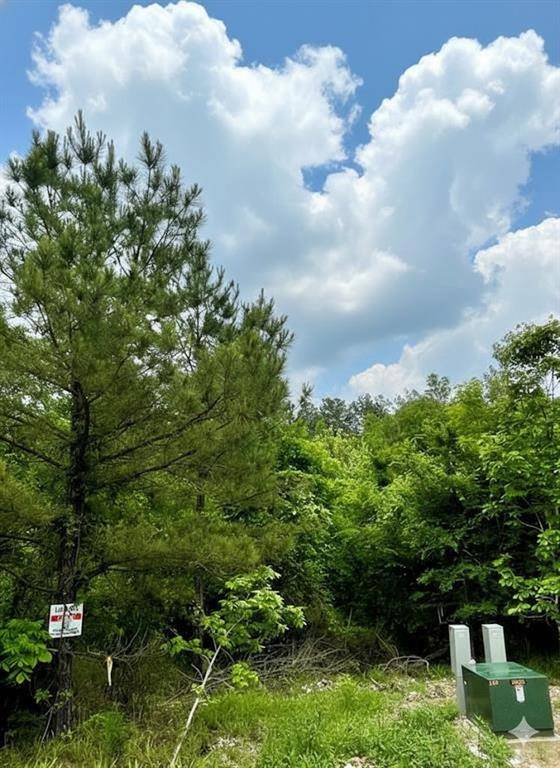 665 Timber Creek Trails South XI, Broken Bow, OK 74728