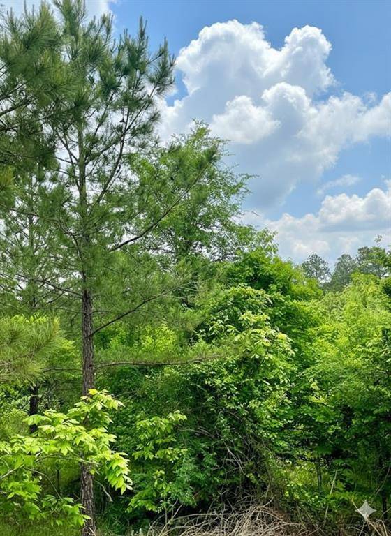 665 Timber Creek Trails South XI, Broken Bow, OK 74728