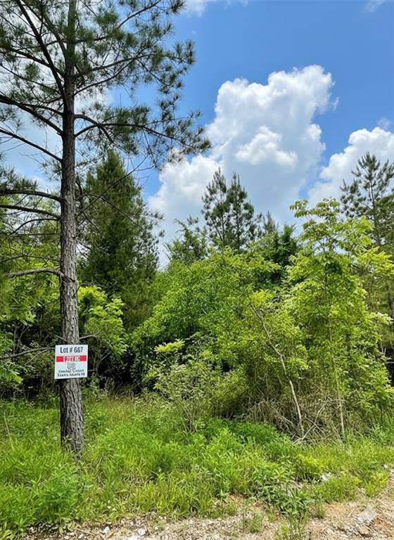667 Timber Creek Trails South XI, Broken Bow, OK 74728