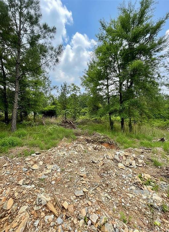 669 Timber Creek Trails South XI, Broken Bow, OK 74728