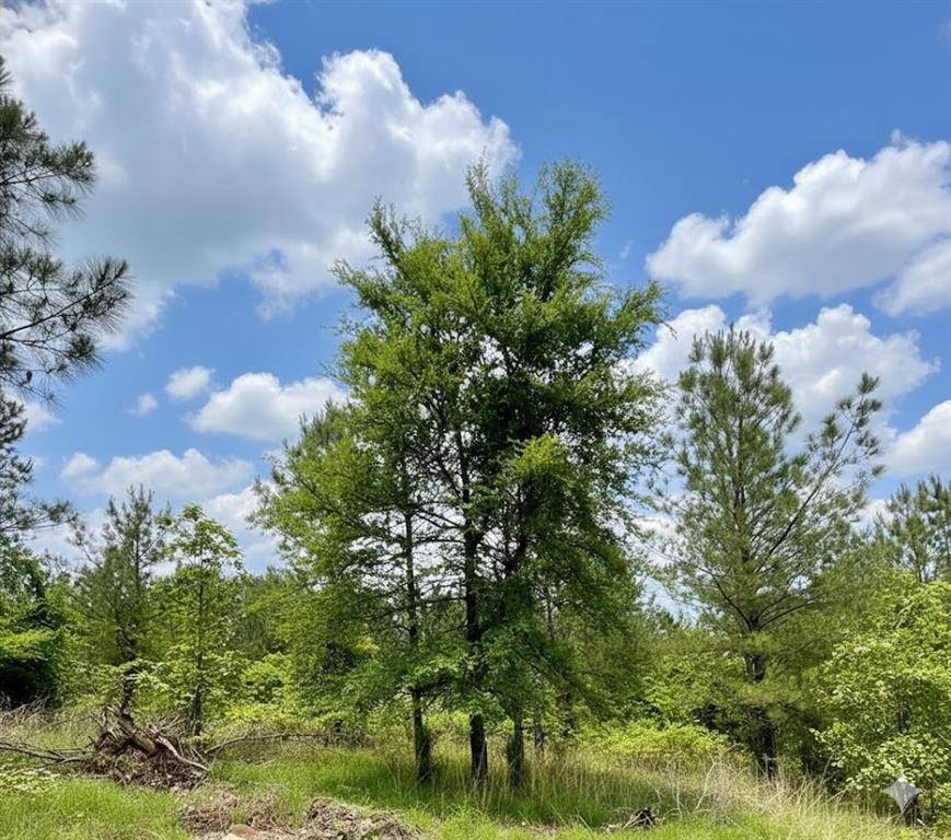 669 Timber Creek Trails South XI, Broken Bow, OK 74728
