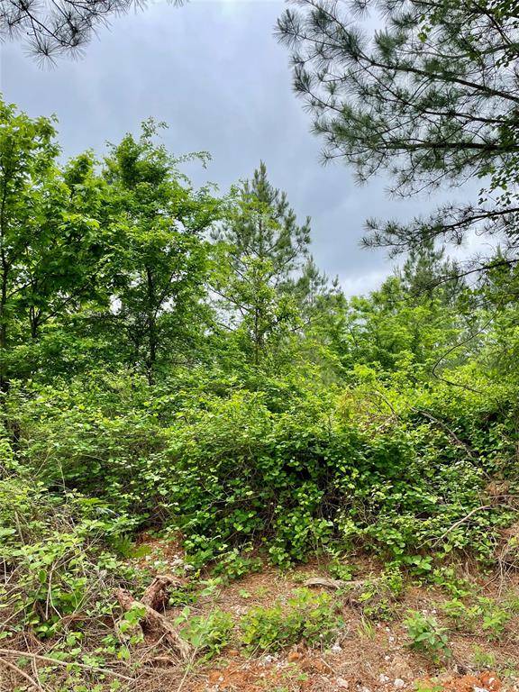 672 Timber Creek Trails South XI, Broken Bow, OK 74728