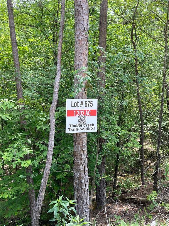 675 Timber Creek Trails South XI, Broken Bow, OK 74728