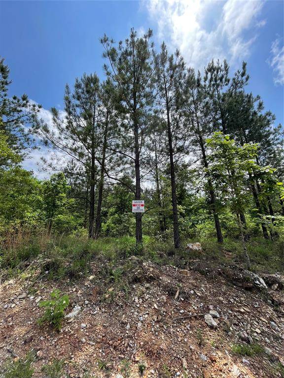 676 Timber Creek Trails South XI, Broken Bow, OK 74728
