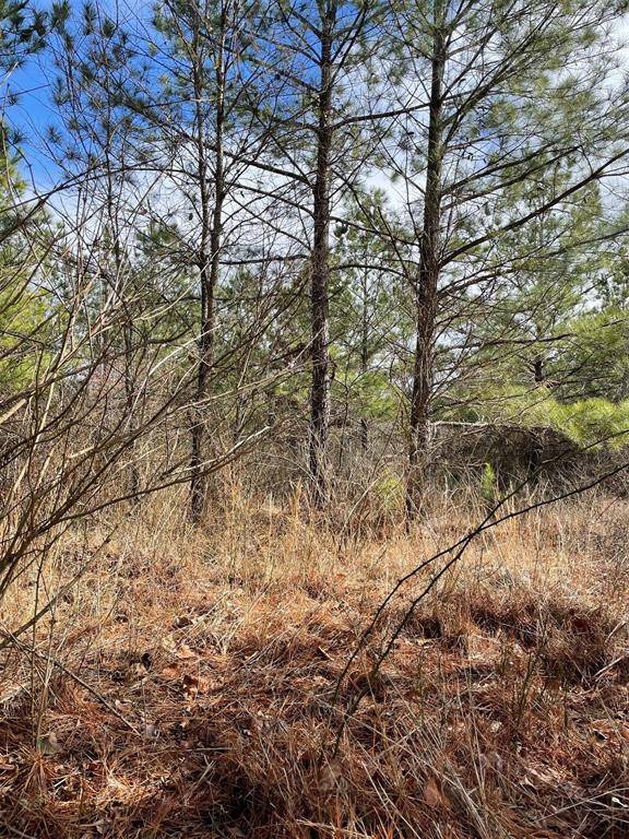 680 Timber Creek Trails South XI, Broken Bow, OK 74728