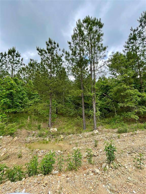 681 Timber Creek Trails South XI, Broken Bow, OK 74728