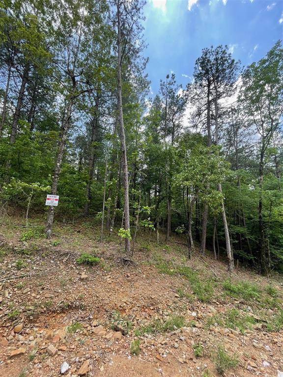 687 Timber Creek Trails South XI, Broken Bow, OK 74728