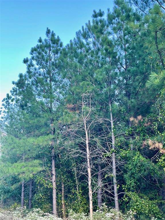 693 Timber Creek Trails South XI, Broken Bow, OK 74728