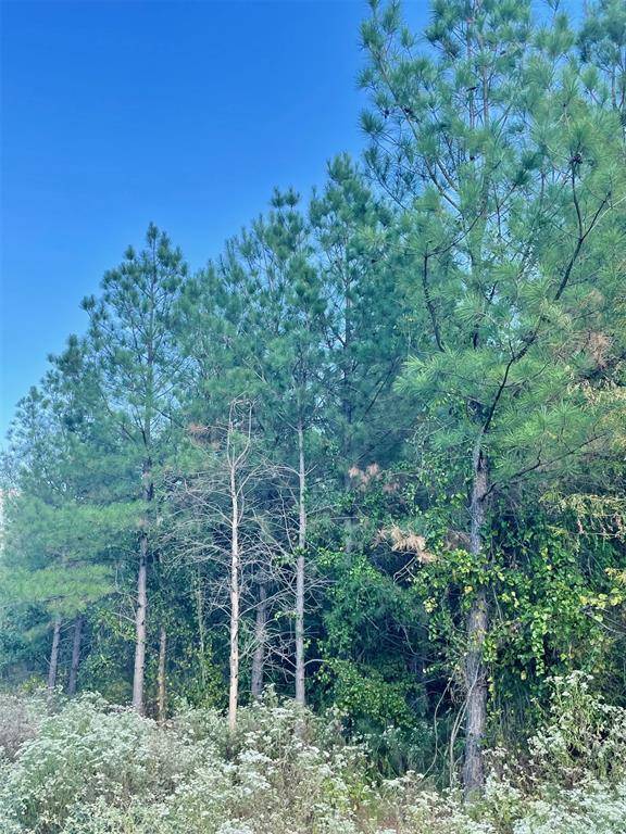 693 Timber Creek Trails South XI, Broken Bow, OK 74728