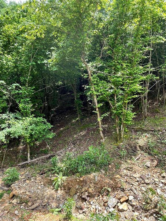 694 Timber Creek Trails South XI, Broken Bow, OK 74728