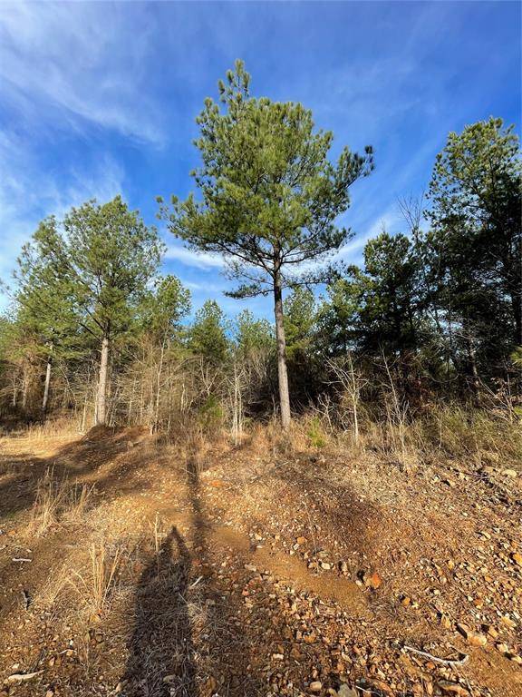 699 Timber Creek Trails South XI, Broken Bow, OK 74728