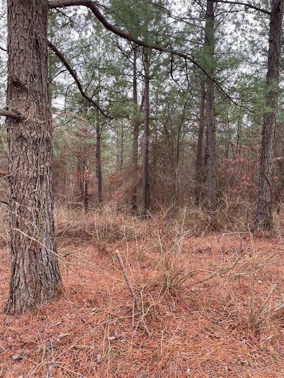 700 Timber Creek Trails South XI, Broken Bow, OK 74728