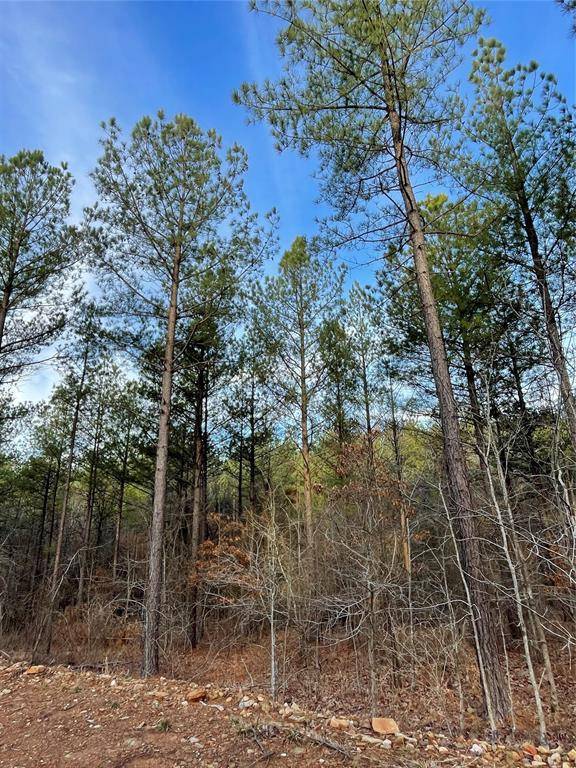 703 Timber Creek Trails South XI, Broken Bow, OK 74728